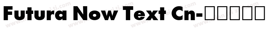 Futura Now Text Cn字体转换